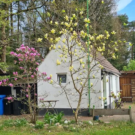 Tiny House Im Wingster Forst Casa vacanze Wingst