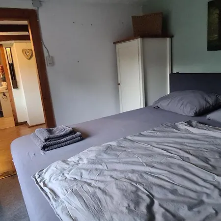 Tiny House Im Wingster Forst *